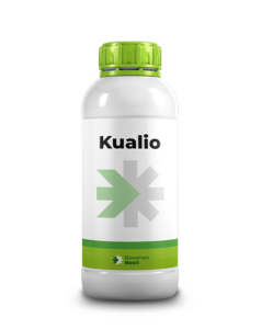 FarmItaly - kualio