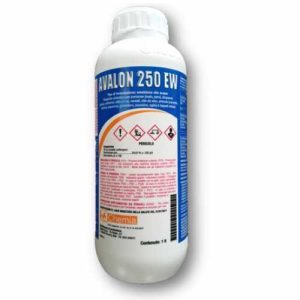 AVALON-250-EW455x455