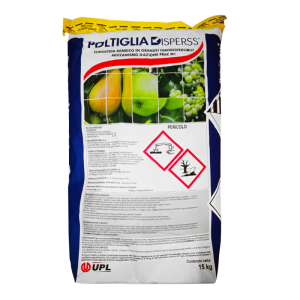 Poltiglia Disperss 01