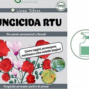 fungicida-rtu